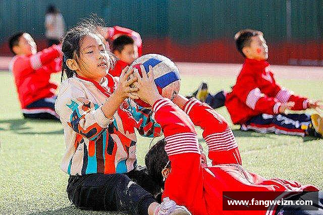 介绍6686体育在线登录